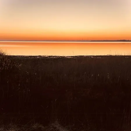 Beachclose Log On Mors With A View