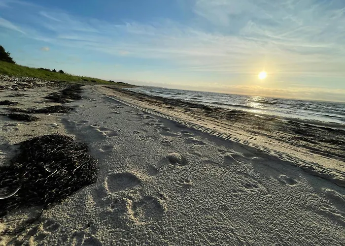 Beachclose Log On Mors With A View * Nykobing Mors